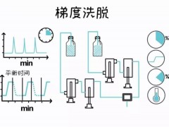 方法開發(fā)梯度洗脫問題匯總